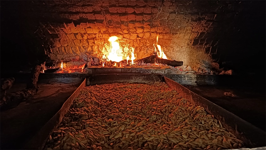 Roasted Nevşehir pumpkin seeds displayed in Cappadocia market stall